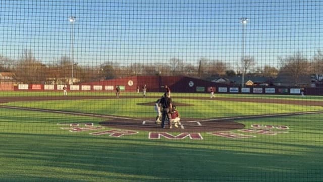 Game day at the plate